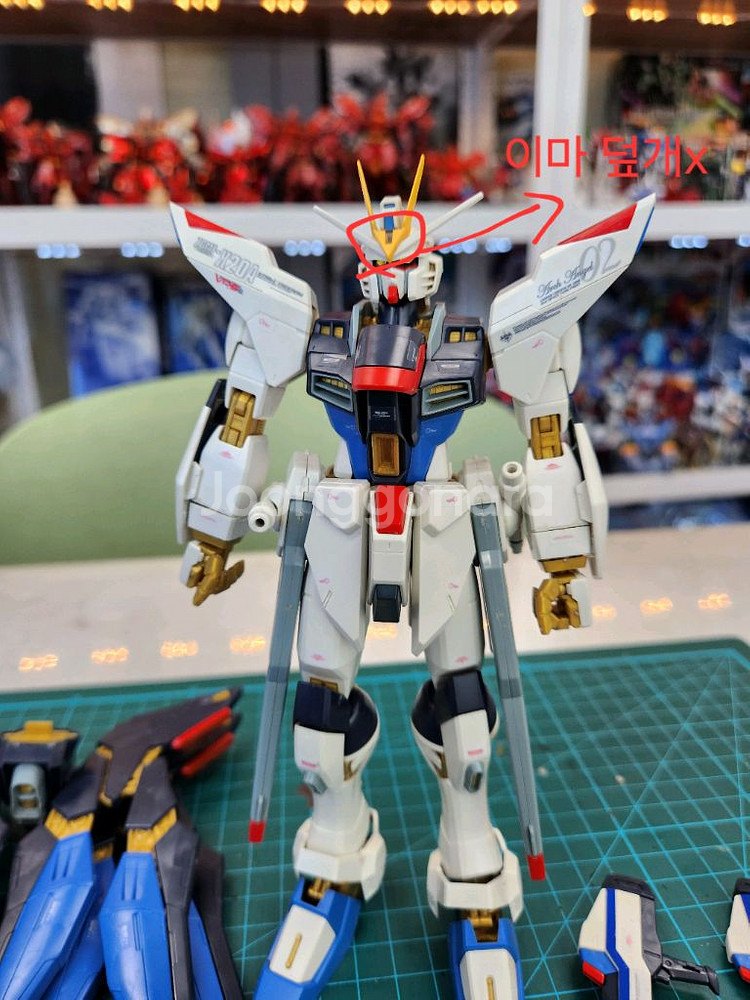 MG 스트라이크 프리덤 건담--0