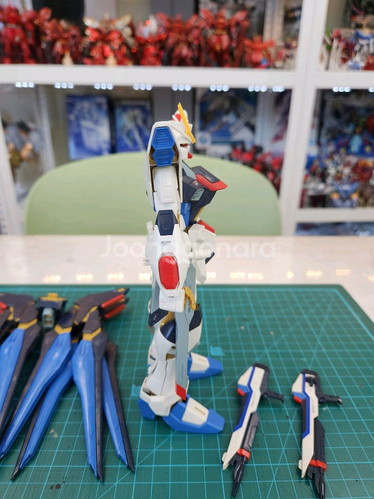 MG 스트라이크 프리덤 건담--3