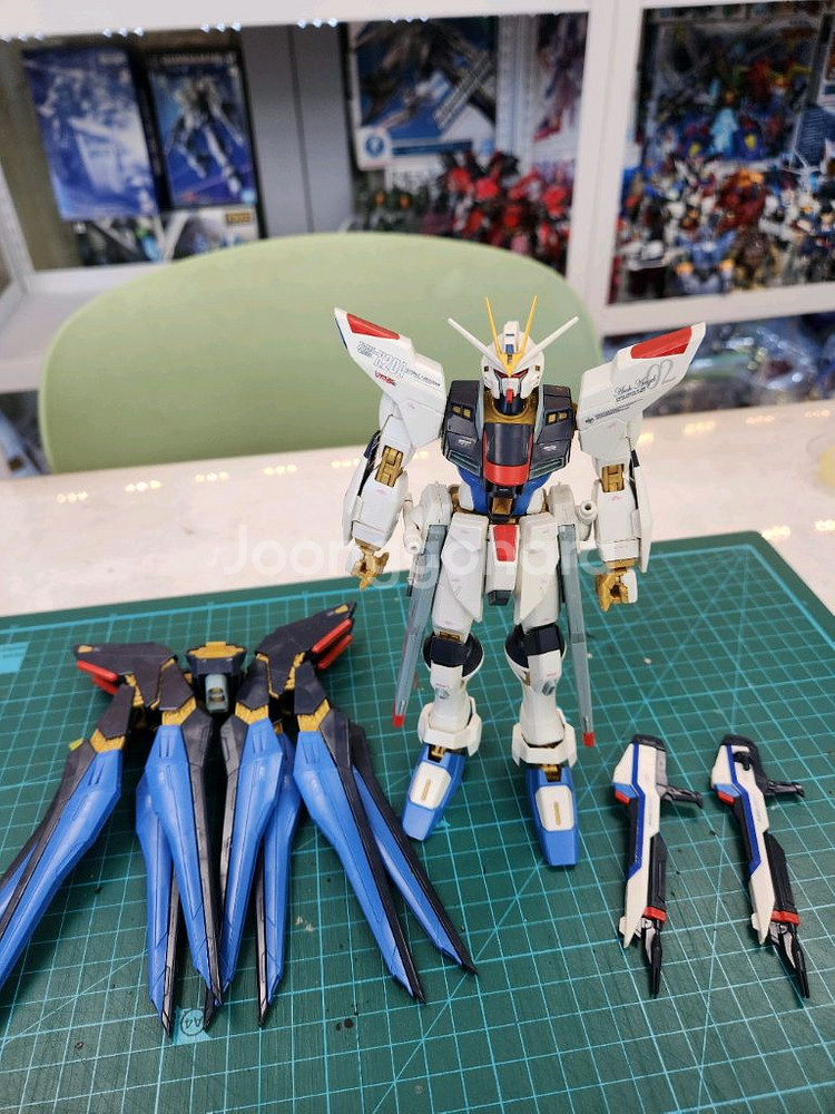 MG 스트라이크 프리덤 건담--4