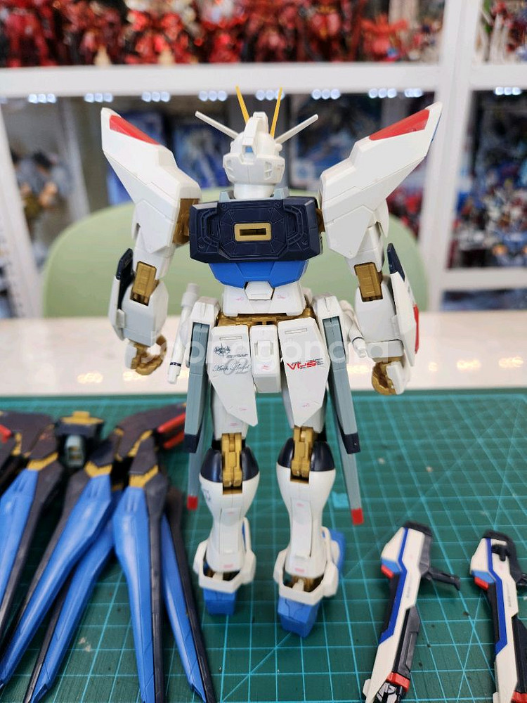 MG 스트라이크 프리덤 건담--2