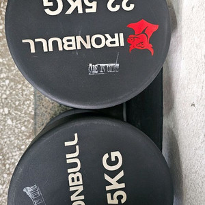 이이언불 TPU 우레탄덤벨(아령)22.5KG 두개