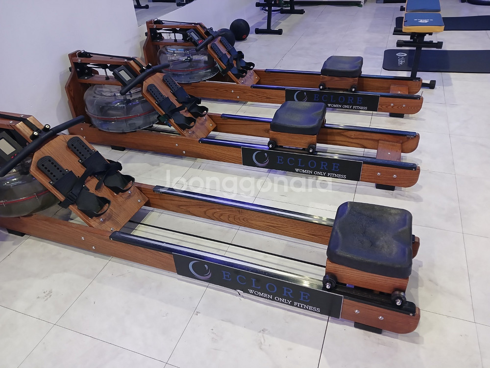 에클로프 로잉머신 1대 팝니다--0