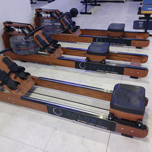 에클로프 로잉머신 1대 팝니다