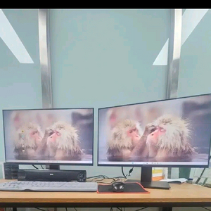 24인치 무결점 모니터 2대 급처분