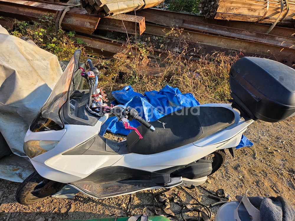 혼다 PCX125 스쿠터--2