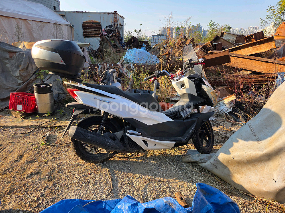 혼다 PCX125 스쿠터--0