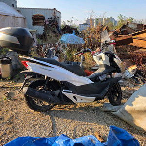 혼다 PCX125 스쿠터