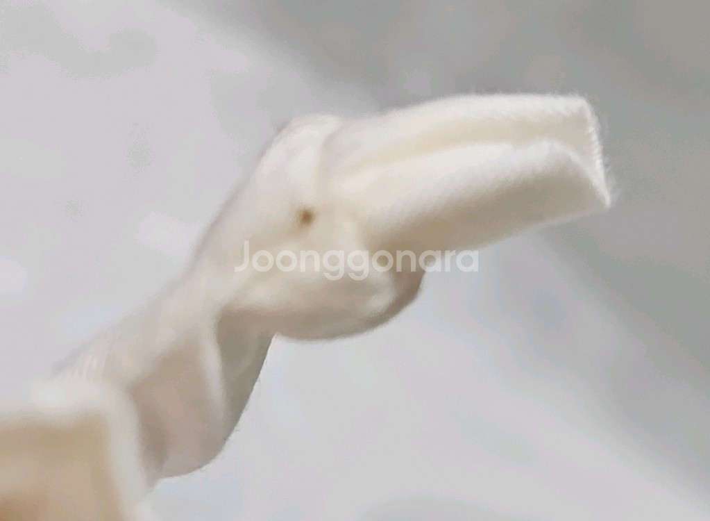 [판매] 넨도로이드 돌 사쿠라 미쿠 하나미 아웃핏 꽃놀이 ver 판매합니다--4