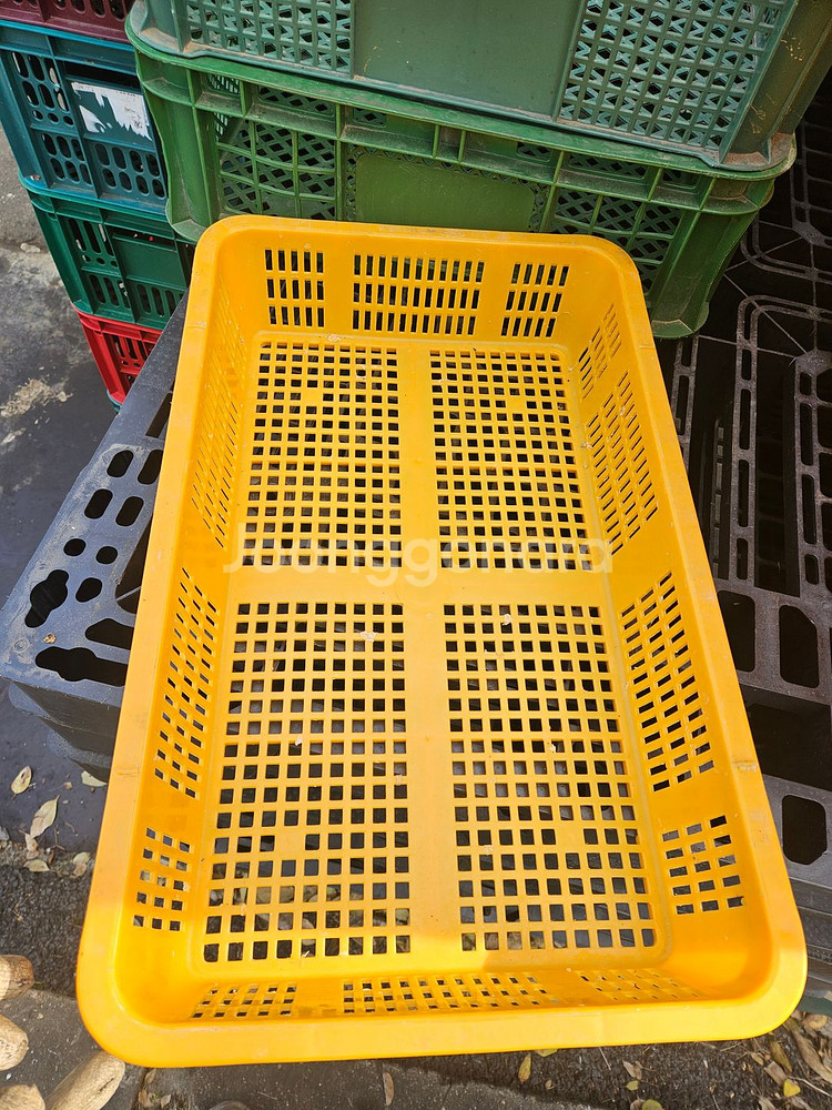 노란색 바구니 / 업소용 채반 (수량 73개)--0
