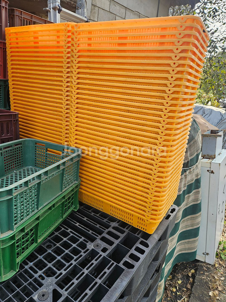 노란색 바구니 / 업소용 채반 (수량 73개)--1