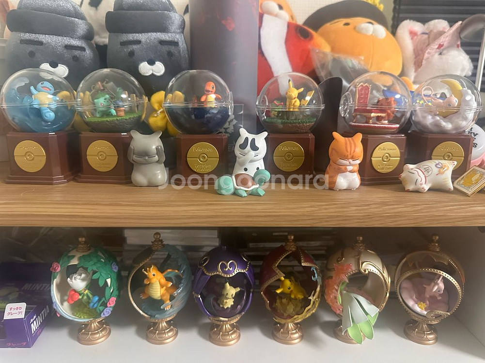 포켓몬 리멘트 테라리움 세트--3