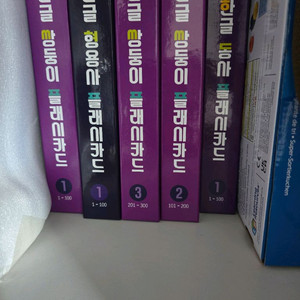 영재오 쌍둥이 플카 외