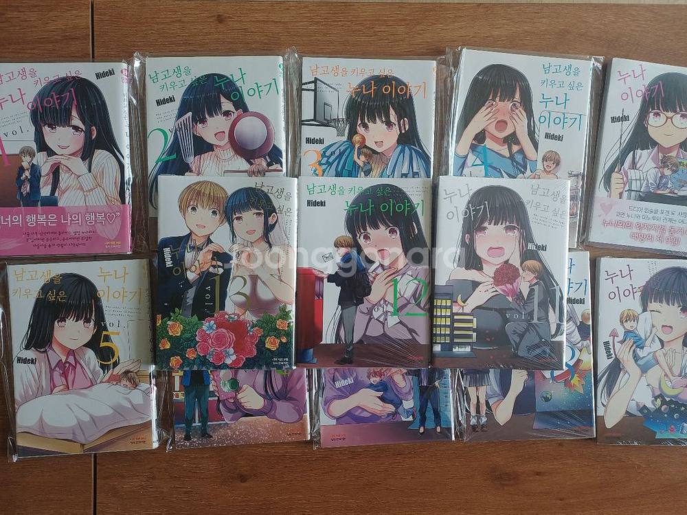 남고생을 키우고 싶은 누나 이야기 1~13--0