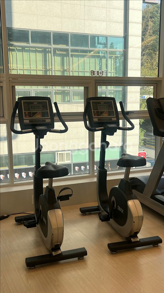 디랙스 입식 싸이클--0