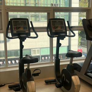 디랙스 입식 싸이클