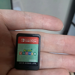 닌텐도 스위치 동물의숲 알칩 한글나옴