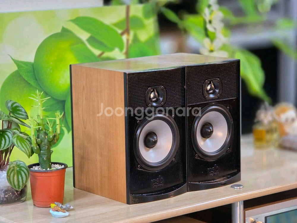 캐나다 PSB 북쉘프스피커 ALPHA B--2