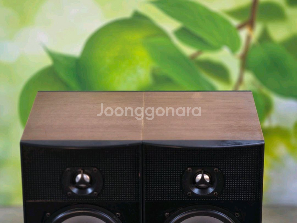 캐나다 PSB 북쉘프스피커 ALPHA B--4