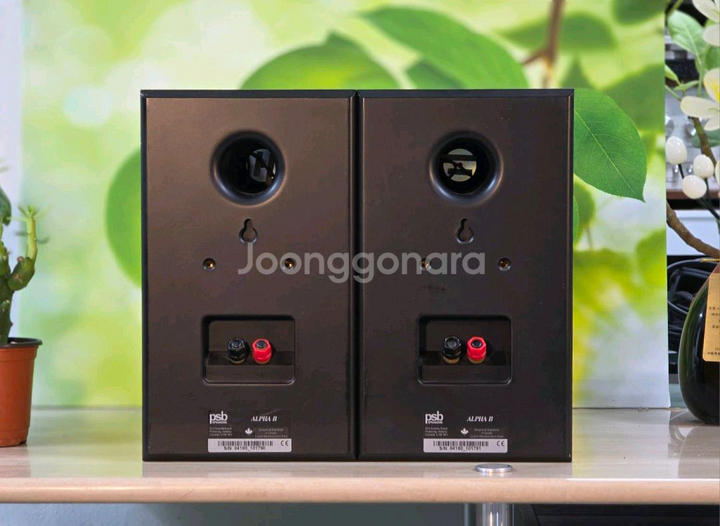 캐나다 PSB 북쉘프스피커 ALPHA B--5