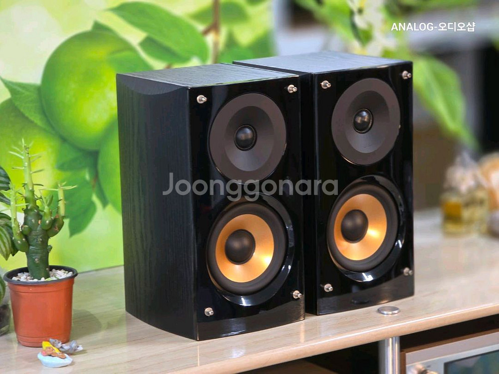 퓨어 어쿠스틱 북쉘프 스피커 SUPER NOVA--3