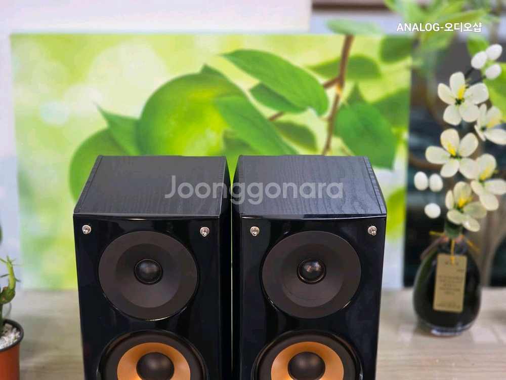 퓨어 어쿠스틱 북쉘프 스피커 SUPER NOVA--4