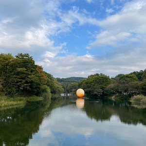 현대백화점 실적 판매합니다