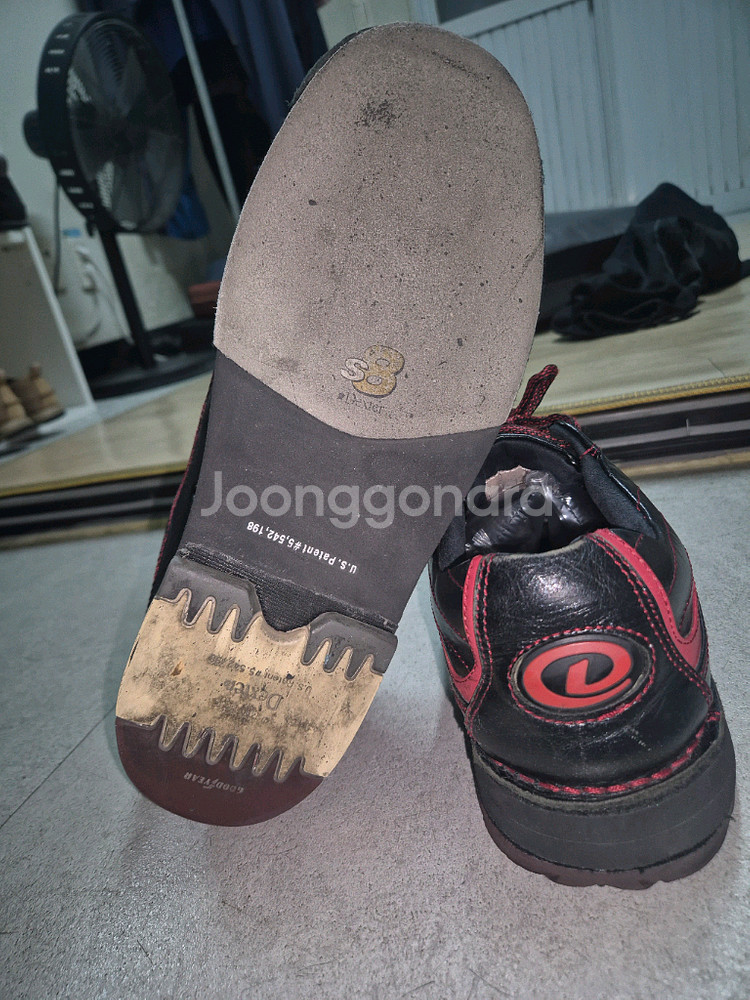 덱스터볼링화 275미리--2