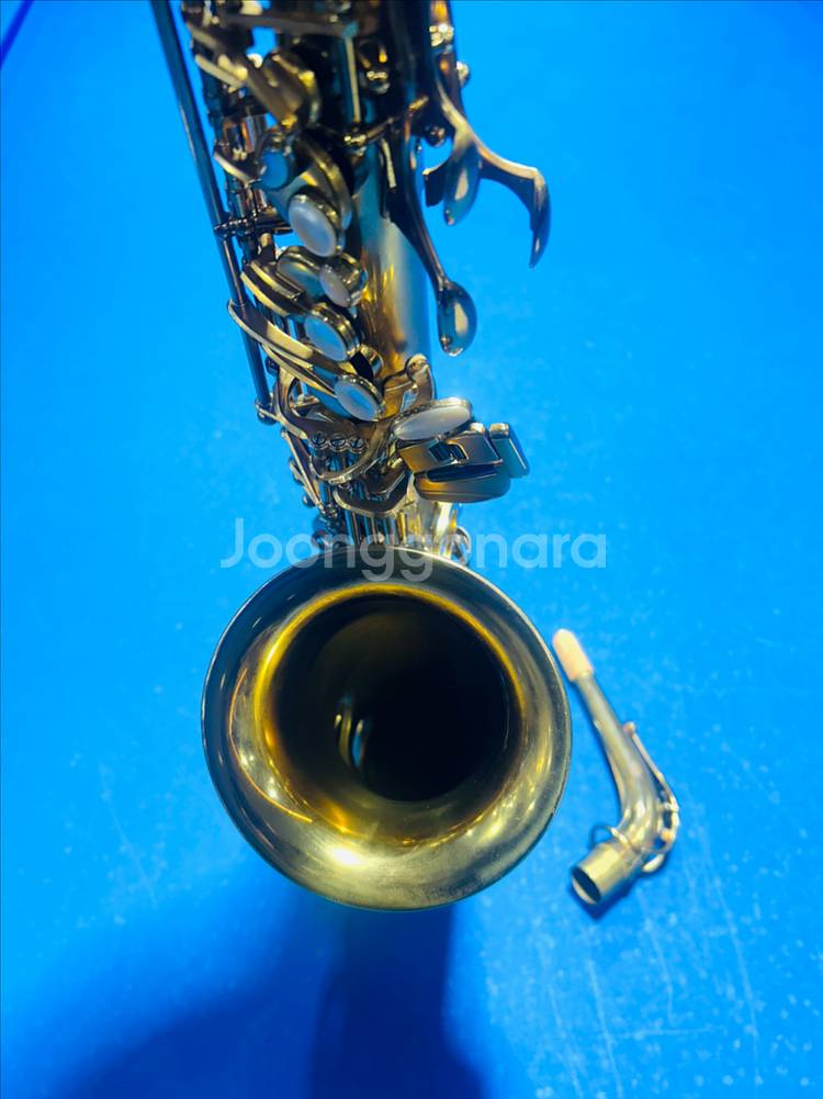 셀마 액션2 주빌리 알토 색소폰--2