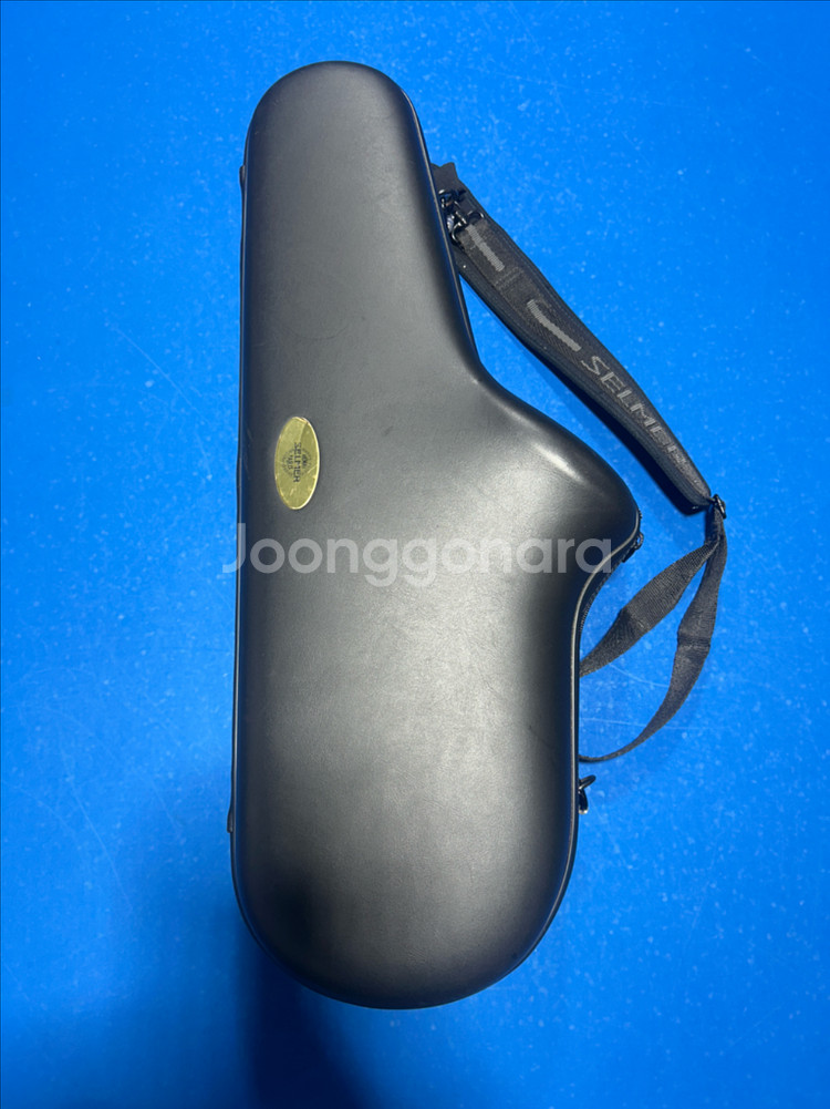 셀마 액션2 주빌리 알토 색소폰--9