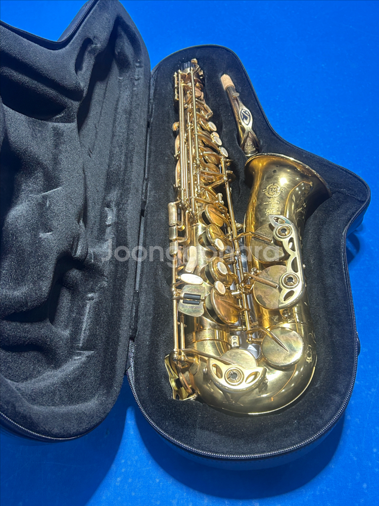 셀마 액션2 주빌리 알토 색소폰--8