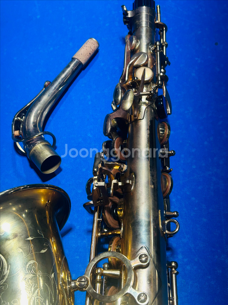 셀마 액션2 주빌리 알토 색소폰--5