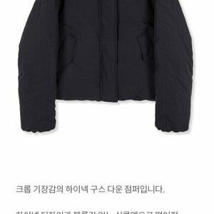 RAIVE 레이브 하이넥 구스다운 패딩 점퍼