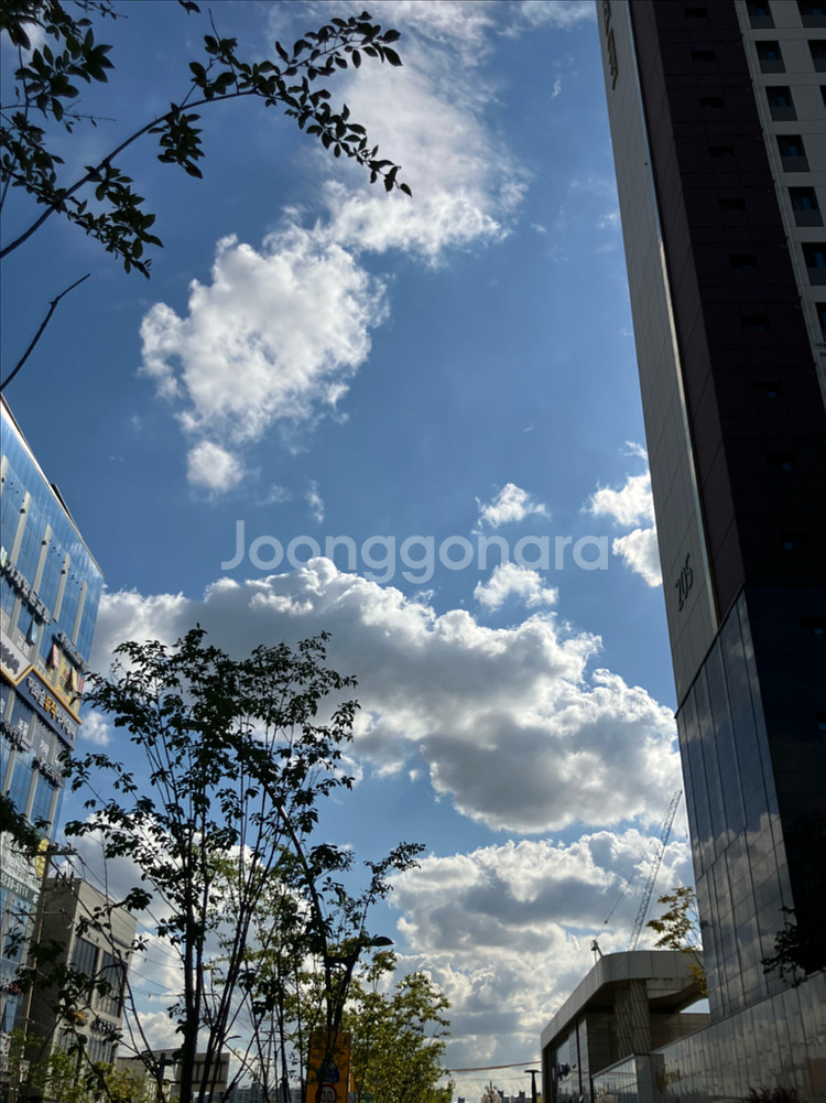 인천서구 피트니스 1:1 PT 양도 (17회)--0