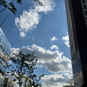 인천서구 피트니스 1:1 PT 양도 (17회)