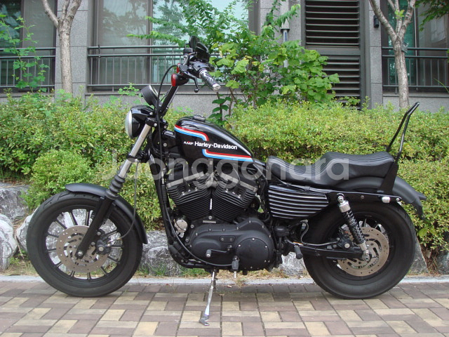 초퍼스타일 아이언 883--4