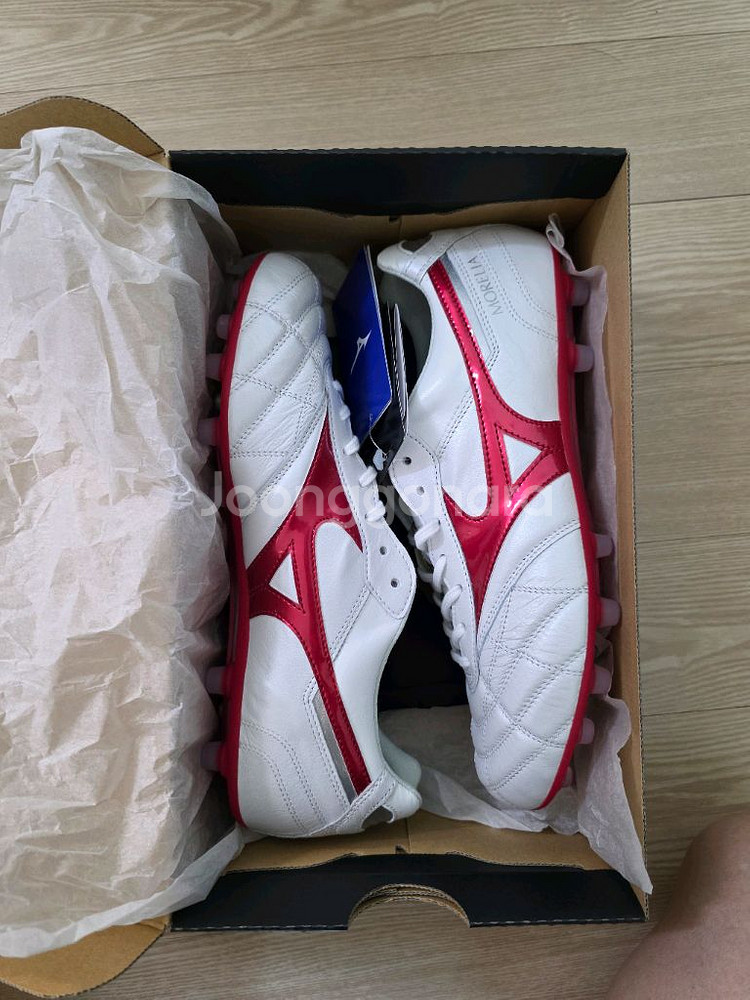 모렐리아2 jp ag 팝니다.--0