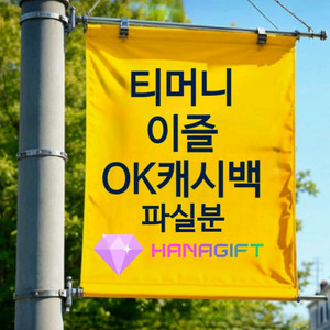 티머니 / 이즐 / OK캐시백 구매 합니다.