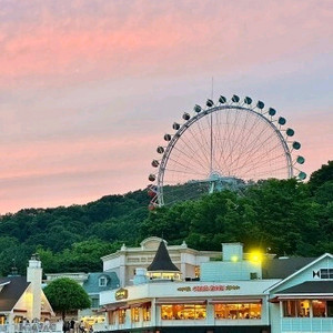 에버랜드 종일권 10월30일 목요일