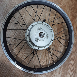 16인치 36V 250w전륜 허브모터 치사이클