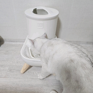 퓨어나인S9 강아지 고양이 자동급수기 새제품 판매