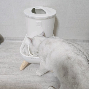 퓨어나인S9 강아지 고양이 자동급수기 새제품 판매