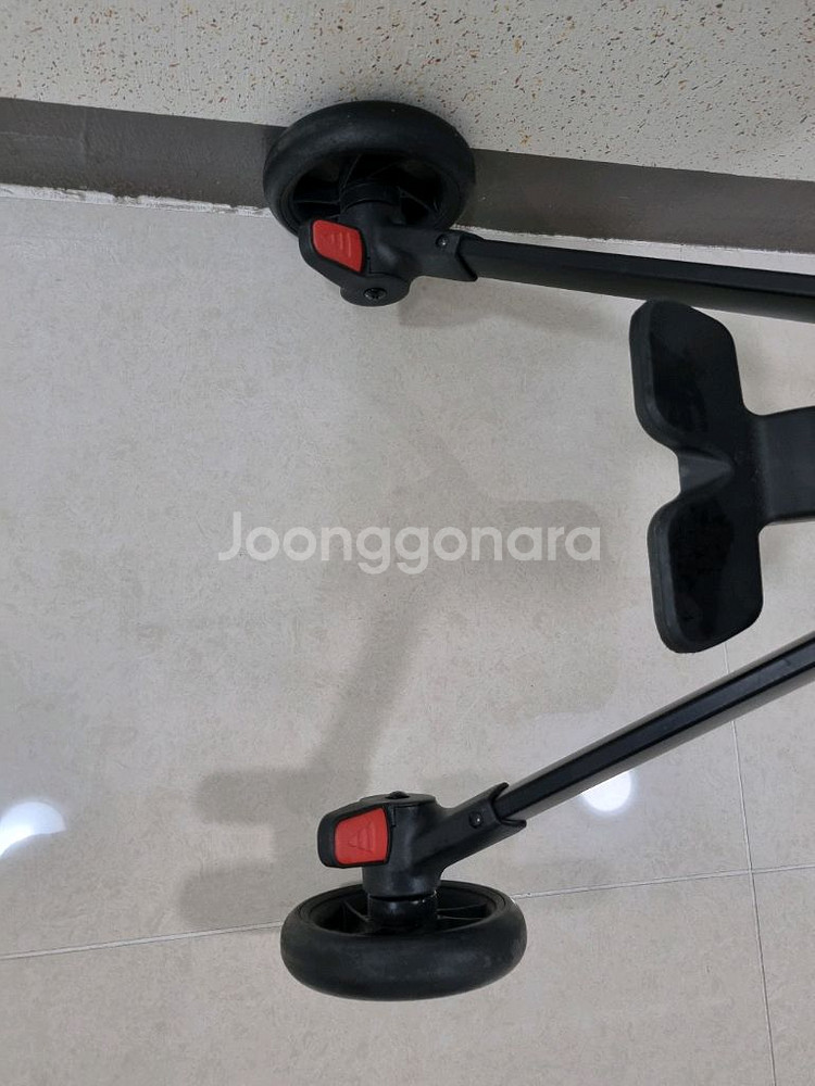 파파야나인 피크닉 트라이크--1