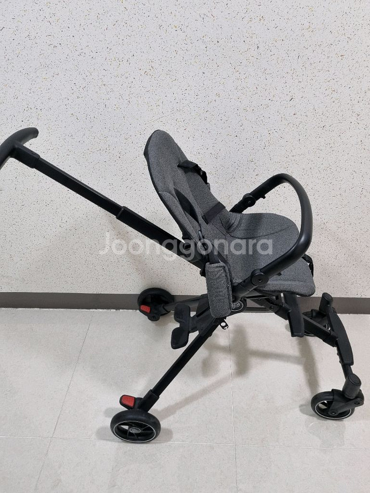 파파야나인 피크닉 트라이크--5