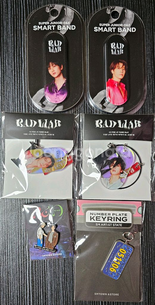 슈퍼주니어 디앤이 D&E 굿즈--0