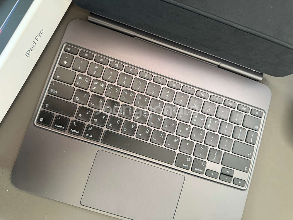 아이패드프로 13 (m4) 256G/WIFI--3