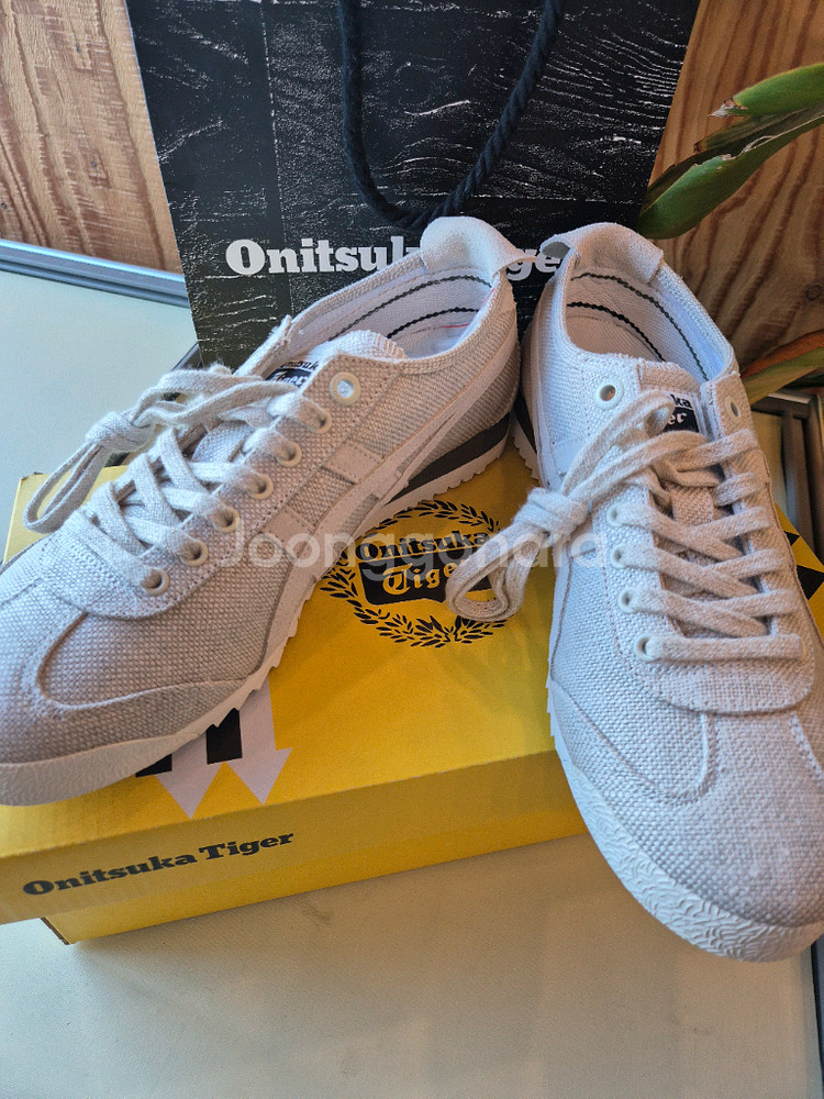 새상품) 오니츠카 타이거 멕시코 66 sd 235사이즈--1