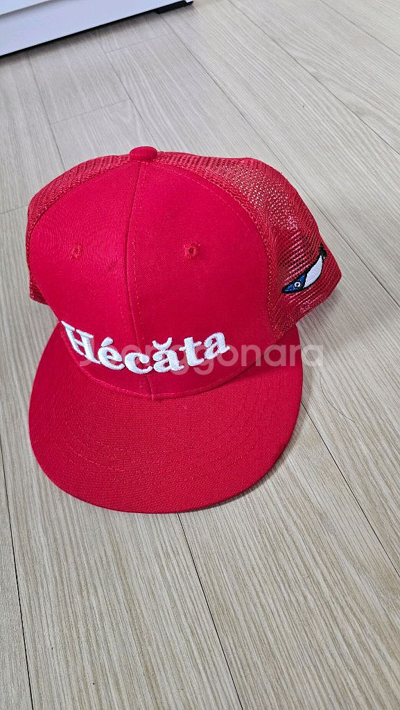 다이와+뉴에라 콜라보 스냅백--5