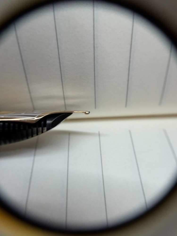 펠리칸 M800 크림블루 m닙--3