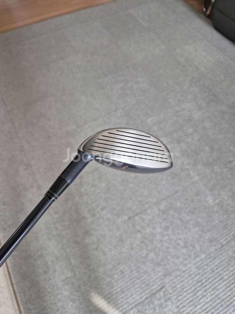 옵티마 우드19도 여성용 L--0