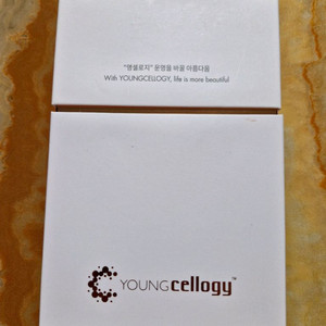 영셀로지 아이오스 엘브이 세럼